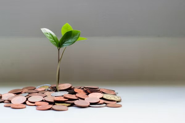 NOMASE Mega Savings